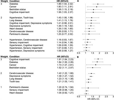 Development and Validation of a Multimorbidity Index Predicting Mortality Among Older Chinese Adults